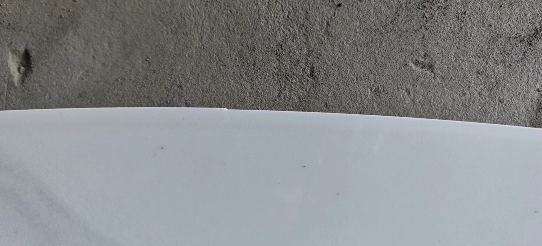 微信截圖_20240625090343.png 微信截圖_20240625090343.png